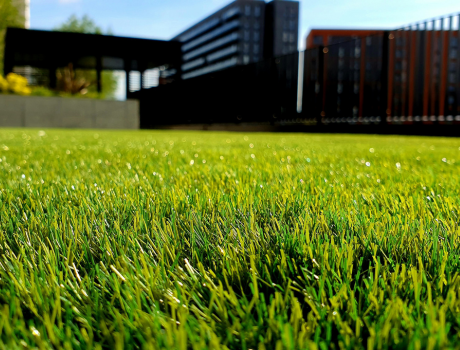 A Lazy Gardener's Guide: How to Choose Zero-Maintenance Artificial Grass
